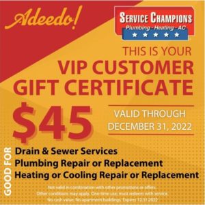 VIP customer gift certificate CTA